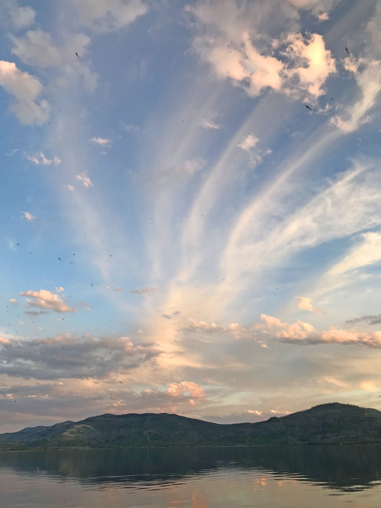 Sunset and mayflies